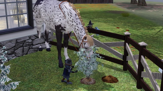 Screenshot-1441