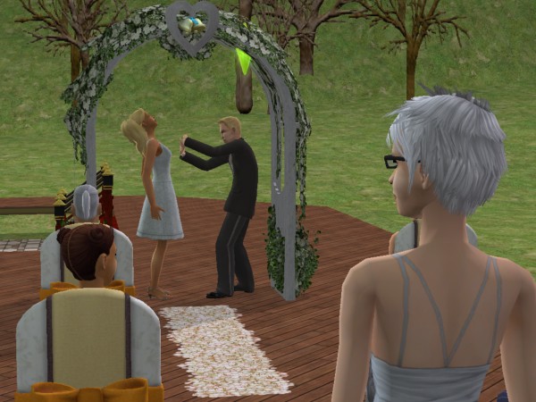 snapshot_42074dec_4222ecb2