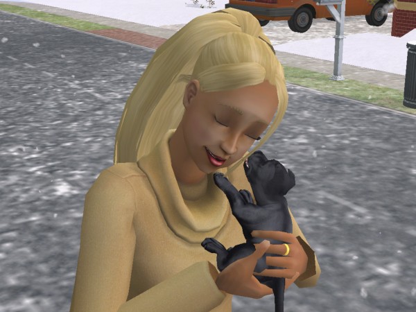 snapshot_42074dec_4222f036