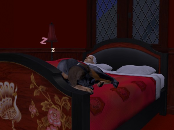 snapshot_42074dec_4222f667