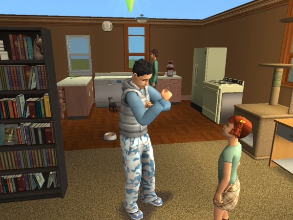 snapshot_c206f322_0208a780