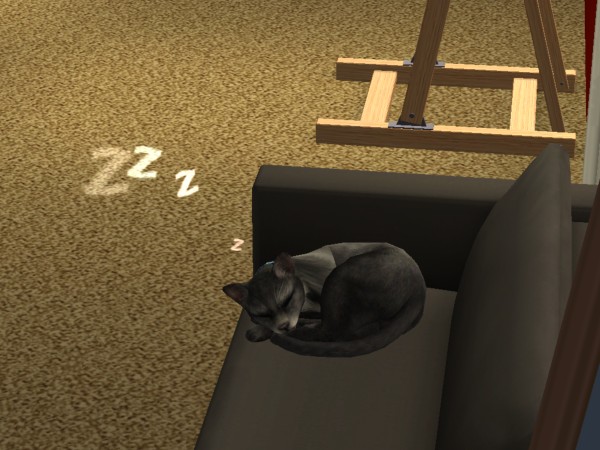 snapshot_c206f322_0208acbe