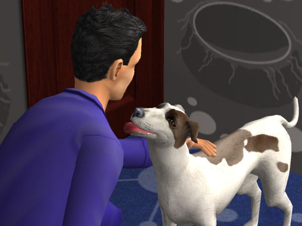 snapshot_c206f322_2222bbae