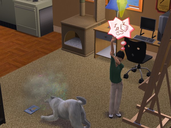 snapshot_c206f322_4208a4f8