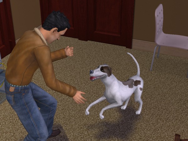 snapshot_c206f322_6222b9a4