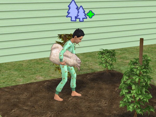 snapshot_c206f322_82085052