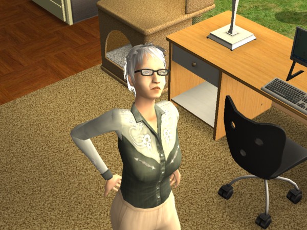 snapshot_c206f322_8208aa66