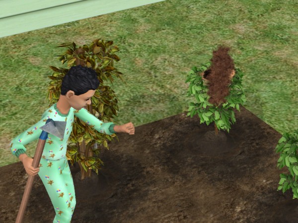 snapshot_c206f322_e2085081