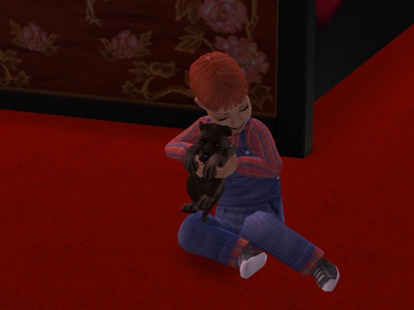 snapshot_42074dec_0223faa9