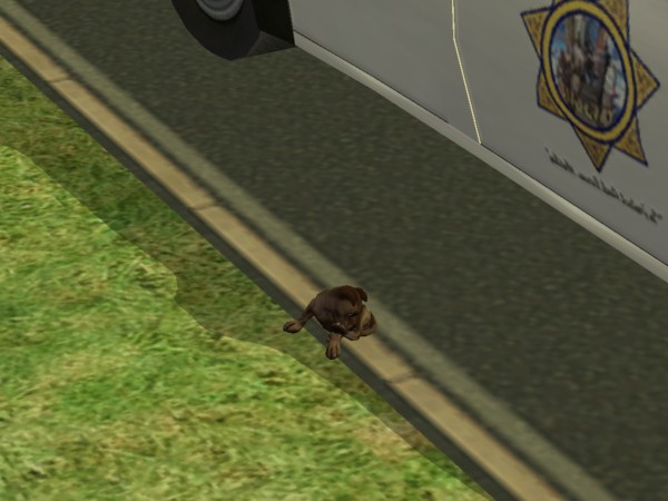 snapshot_42074dec_4223f004