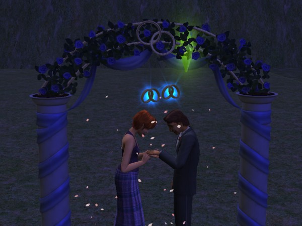 snapshot_4222f9b8_8223093d