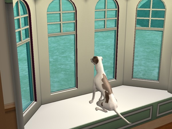 snapshot_c206f322_42233b1a