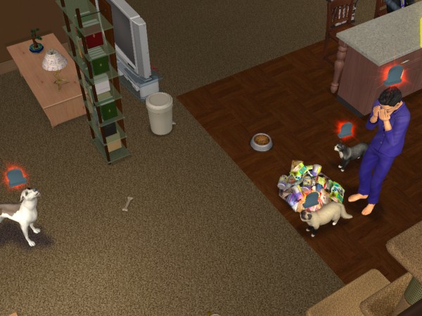 snapshot_c206f322_c2235f24