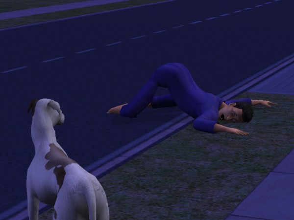 snapshot_c206f322_e22368ee