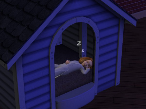 snapshot_42074dec_2224808f