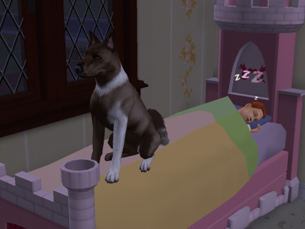 snapshot_42074dec_222480f9