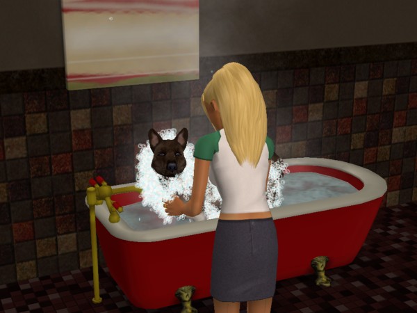 snapshot_42074dec_62247d4b