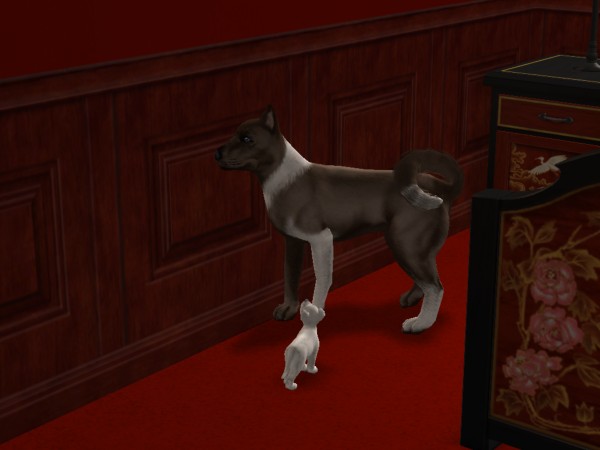 snapshot_42074dec_62248b9e