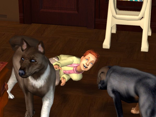 snapshot_42074dec_62248de8