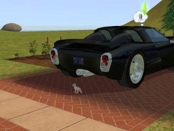 snapshot_42074dec_c2249549