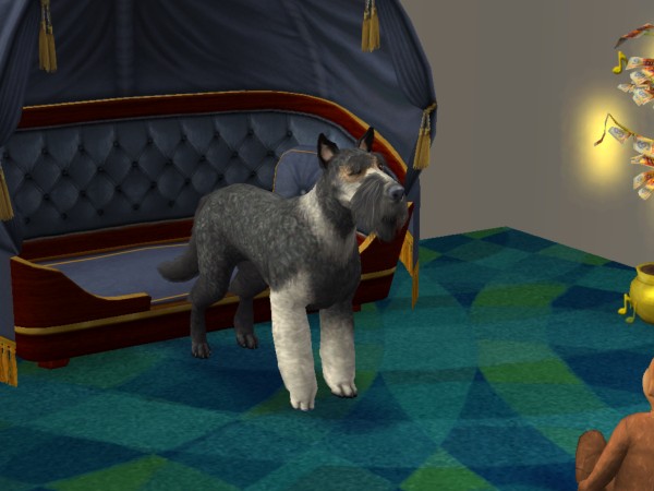 snapshot_4222f9b8_c2243395