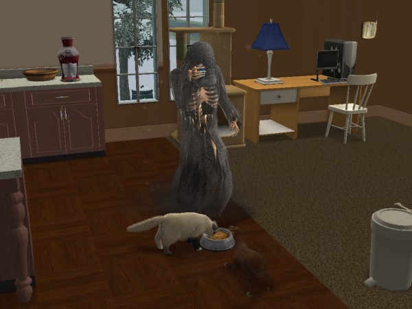 snapshot_c206f322_022452a3