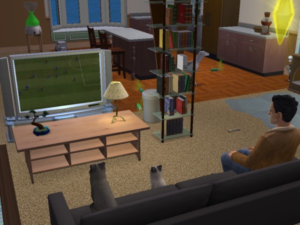 snapshot_c206f322_02245c36