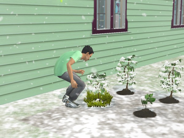 snapshot_c206f322_222451f1