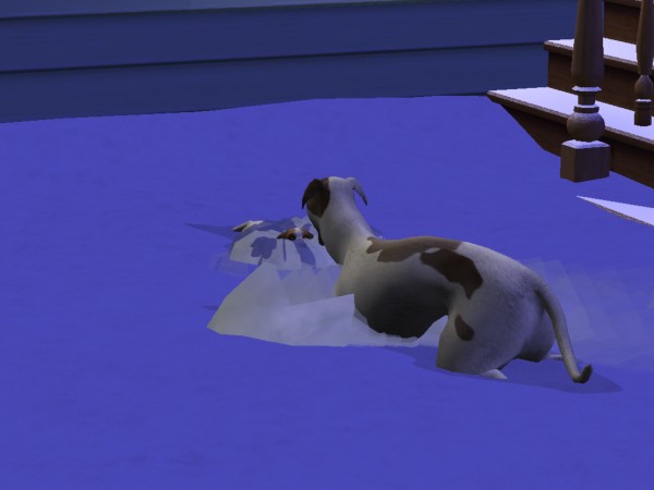 snapshot_c206f322_422453bf