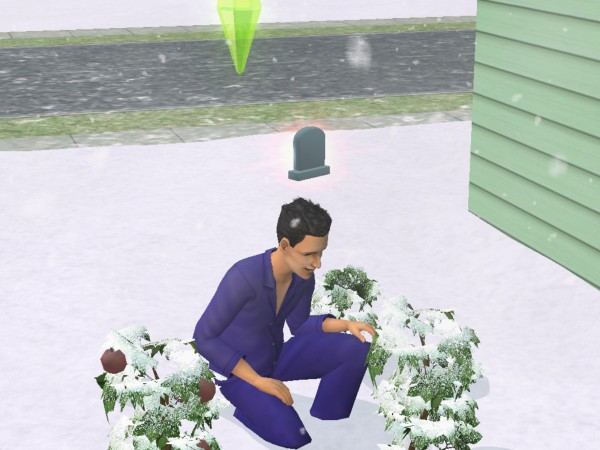 snapshot_c206f322_622452b9