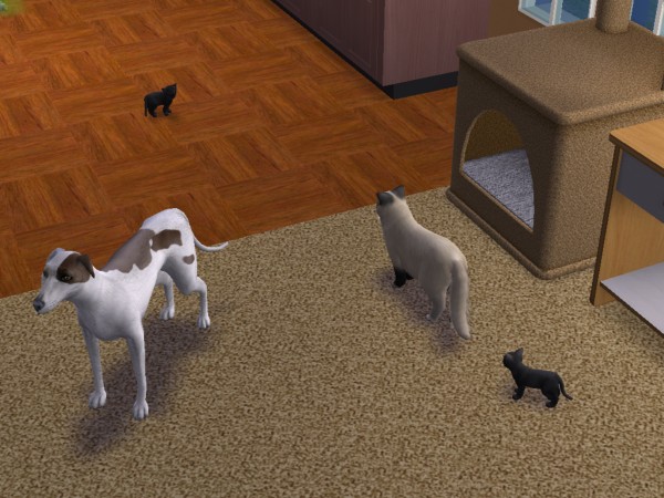 snapshot_c206f322_82245612