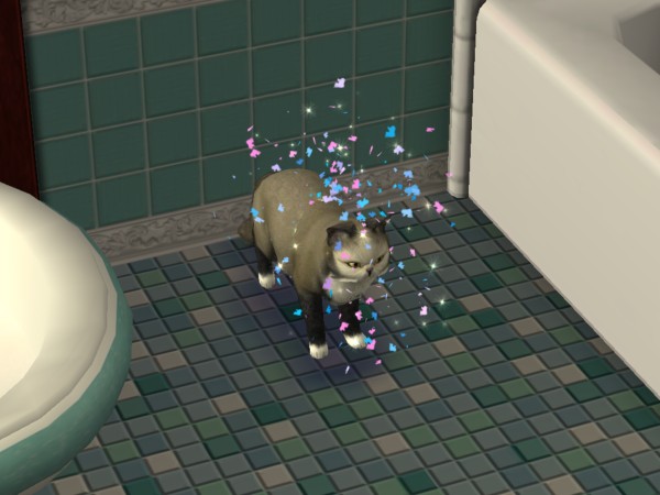 snapshot_c206f322_82245b96