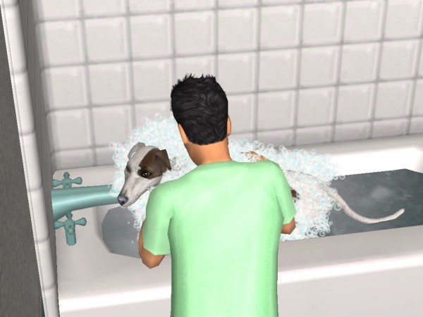 snapshot_c206f322_c22452ef