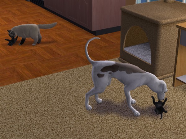 snapshot_c206f322_c2245621