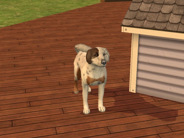 snapshot_42074dec_0229e19d