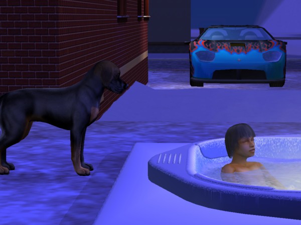 snapshot_42074dec_0229edbf