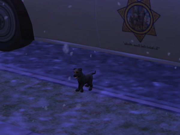 snapshot_42074dec_0229f1ff