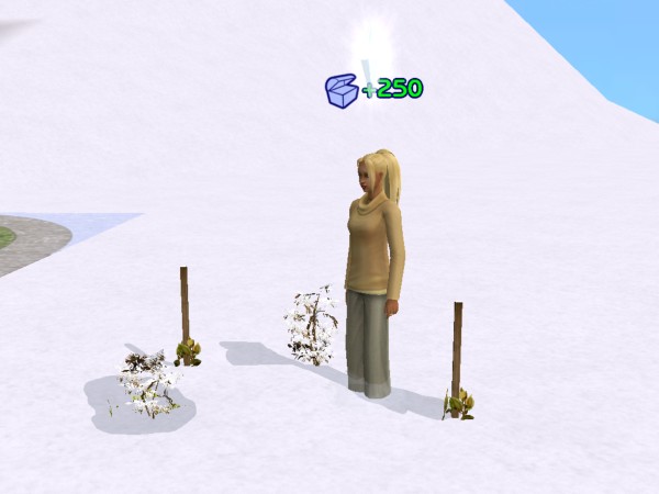 snapshot_42074dec_2229f2ce