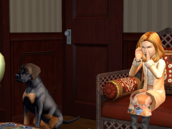 snapshot_42074dec_8229e16b