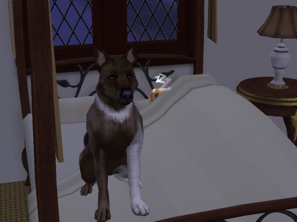 snapshot_42074dec_c229ee27