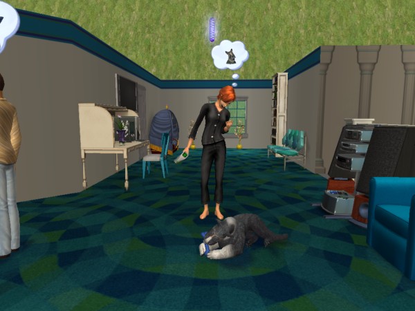 snapshot_4222f9b8_6224a728