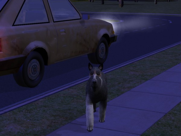 snapshot_4222f9b8_c224a641