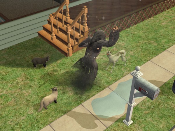 snapshot_c206f322_82274b1f