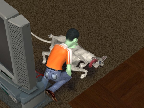 snapshot_c206f322_c22748e5