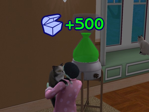 snapshot_c206f322_c229cf29