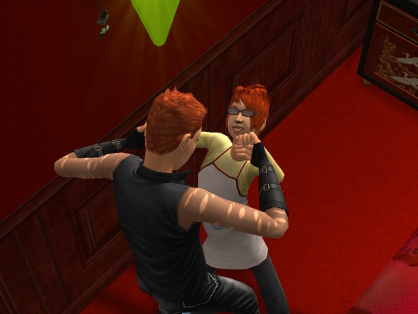 snapshot_42074dec_222c4011