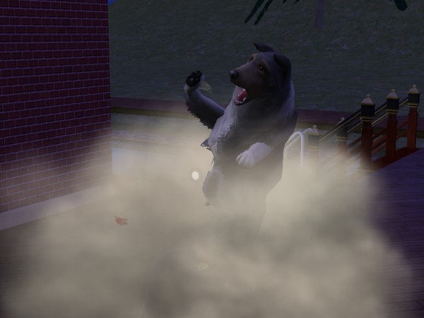 snapshot_42074dec_422c3ca2