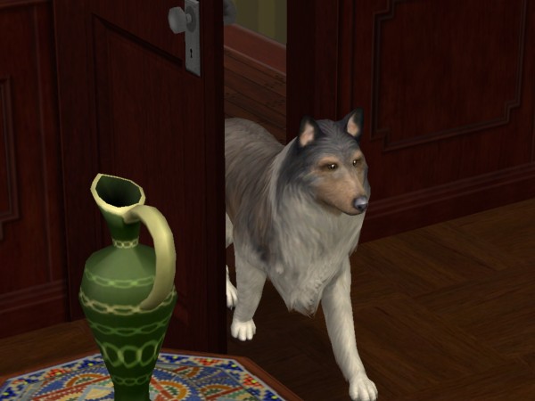 snapshot_42074dec_822c2f5e