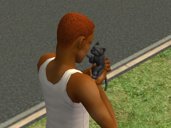 snapshot_c206f322_422c0069