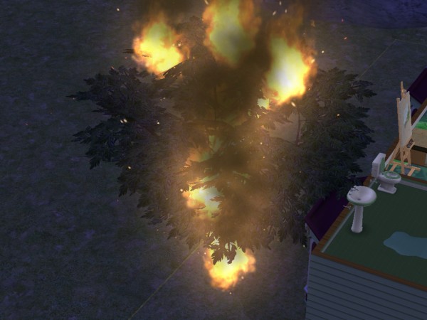 snapshot_c206f322_422c242d